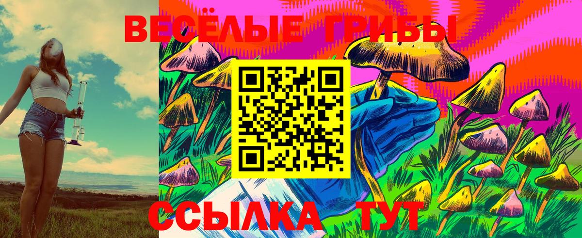 Псилоцибиновые грибы Cubensis Усинск